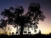 Mchenja Camp - Sunset 